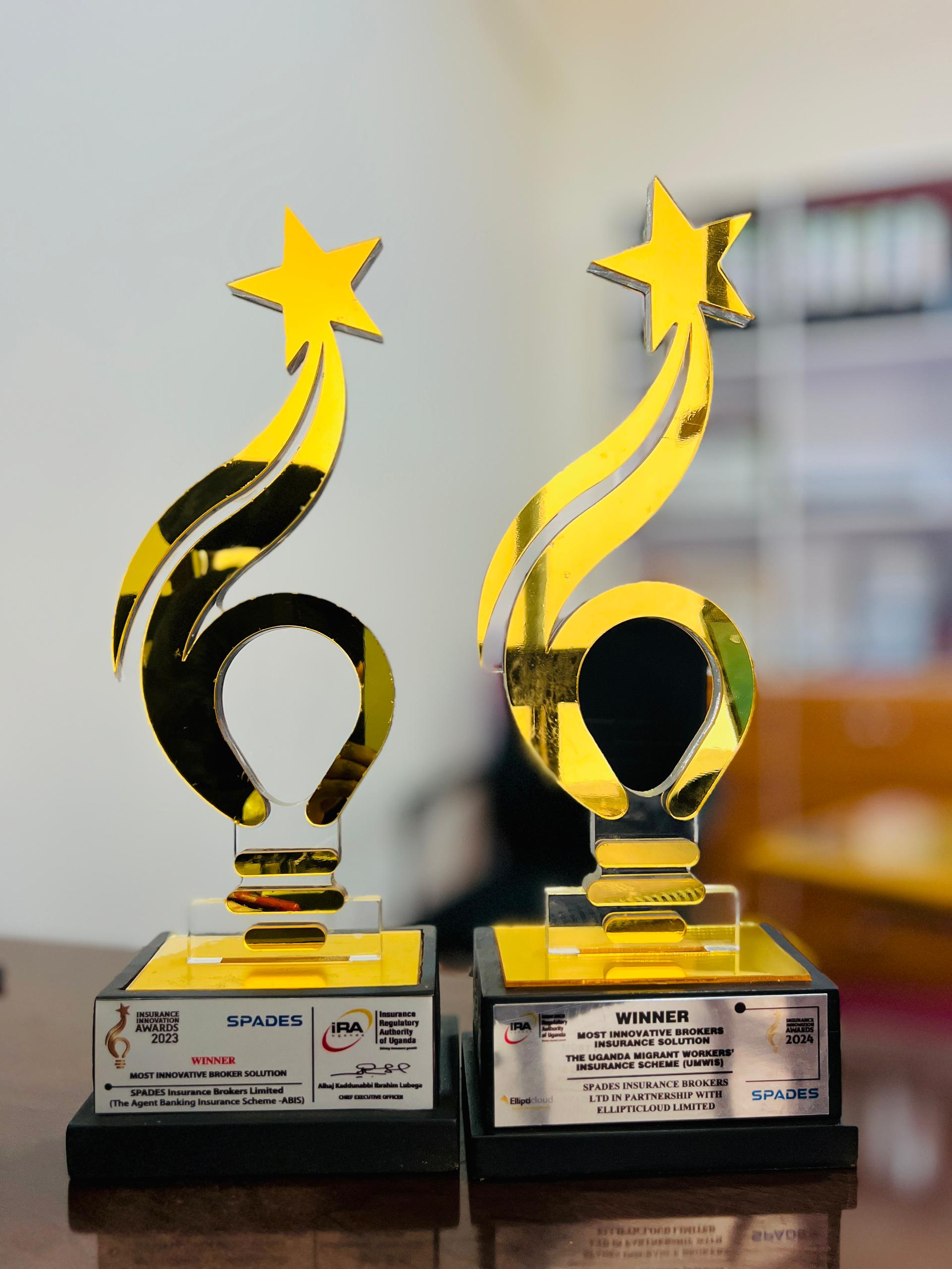 Multiple Awards Display
